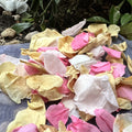 Biodegradable Rose Petal Confetti- Spring Breeze
