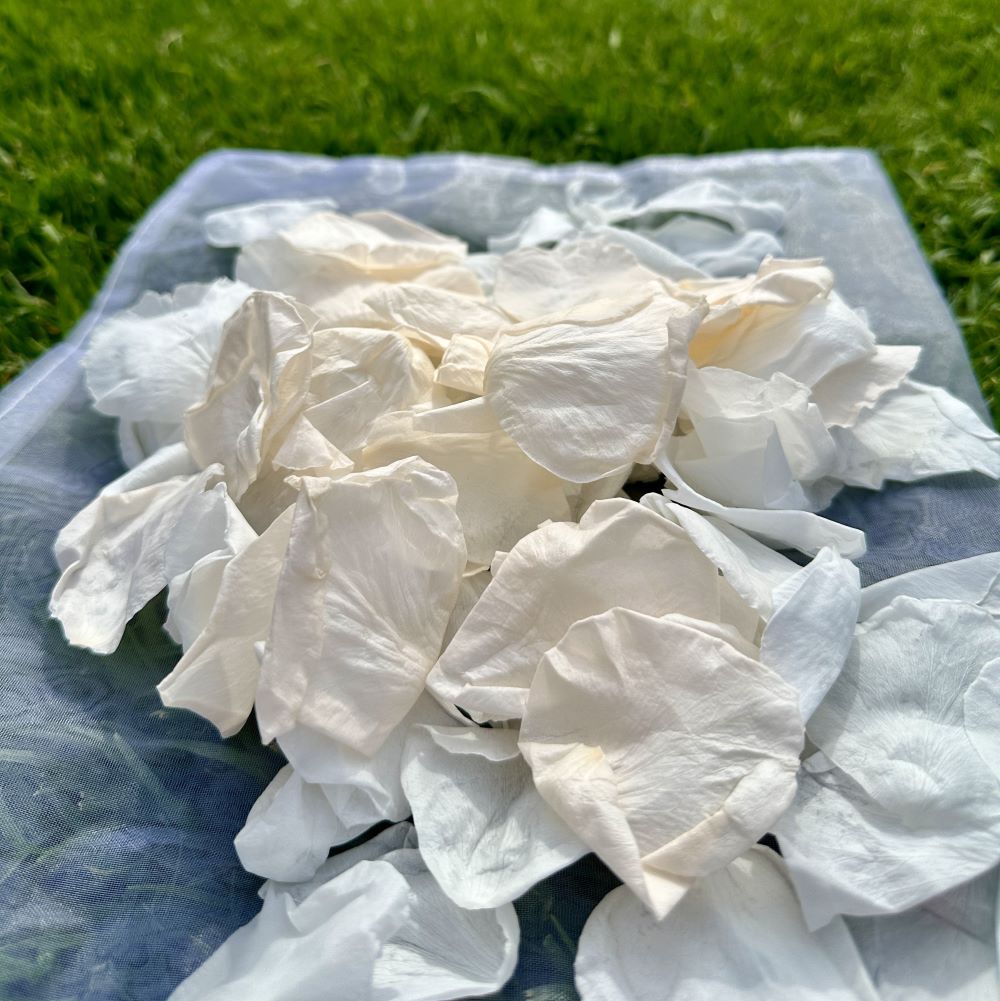 Peaches and Cream - Freeze Dried Soft Rose Petal Confetti