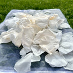 Soft Peach - Freeze Dried Soft Rose Petal Confetti