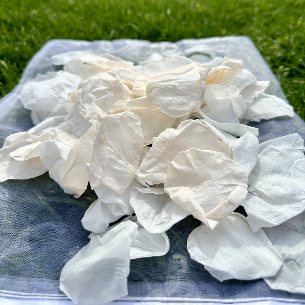 Soft Peach - Freeze Dried Soft Rose Petal Confetti