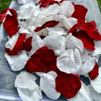 Red and White Strawberries and Cream - Freeze Dried Soft Preserved Rose Petal Confetti