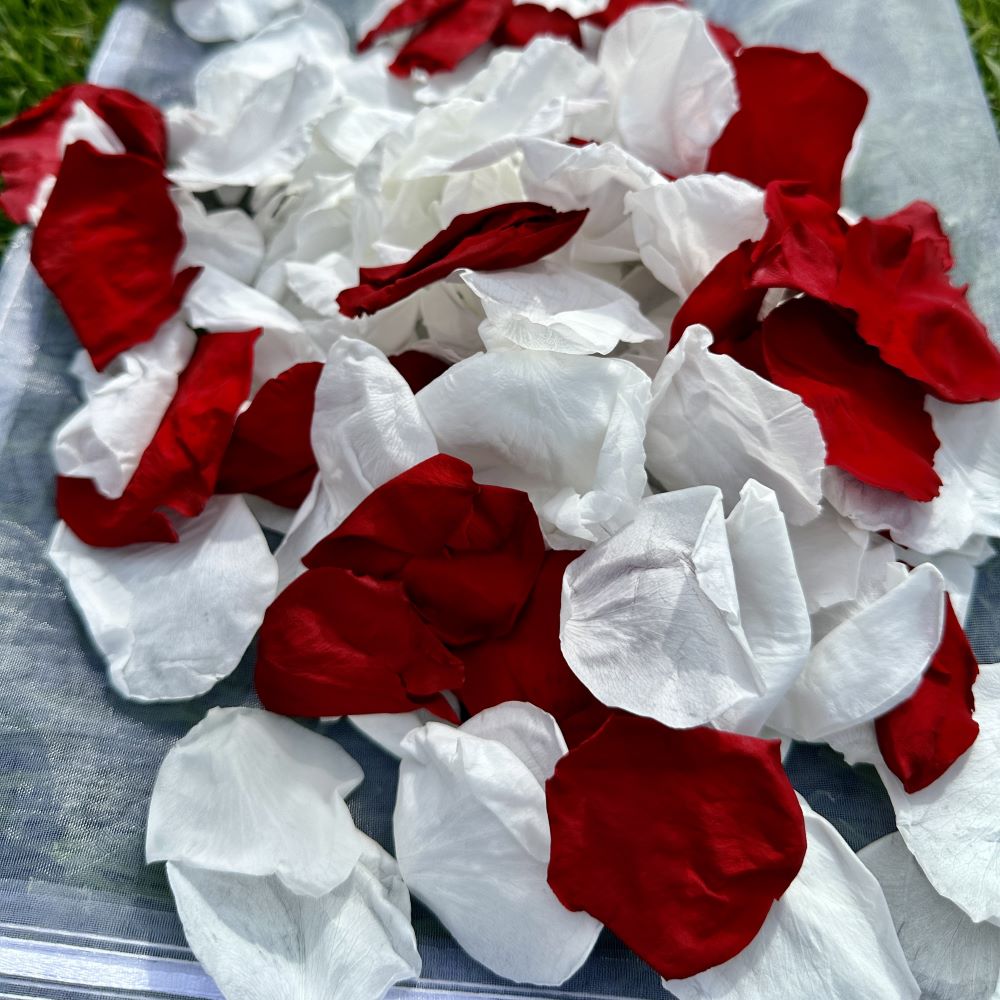 Red and White Strawberries and Cream - Freeze Dried Soft Preserved Rose Petal Confetti