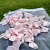 Misty Rose Pink - Small Freeze Dried Preserved Rose Petal Confetti