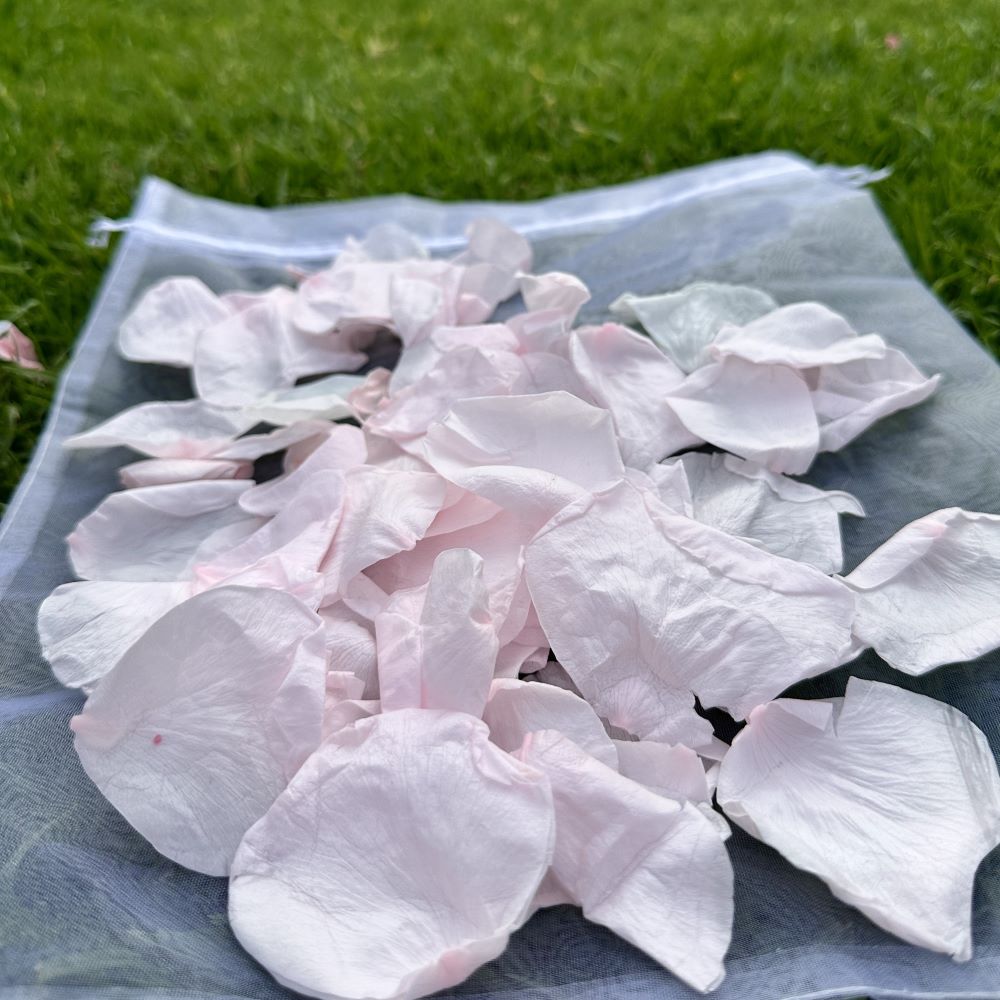 30 Individually Pre-Packaged Organza Bags Biodegradable Rose Petal Confetti -Pale Cotton Candy Pink