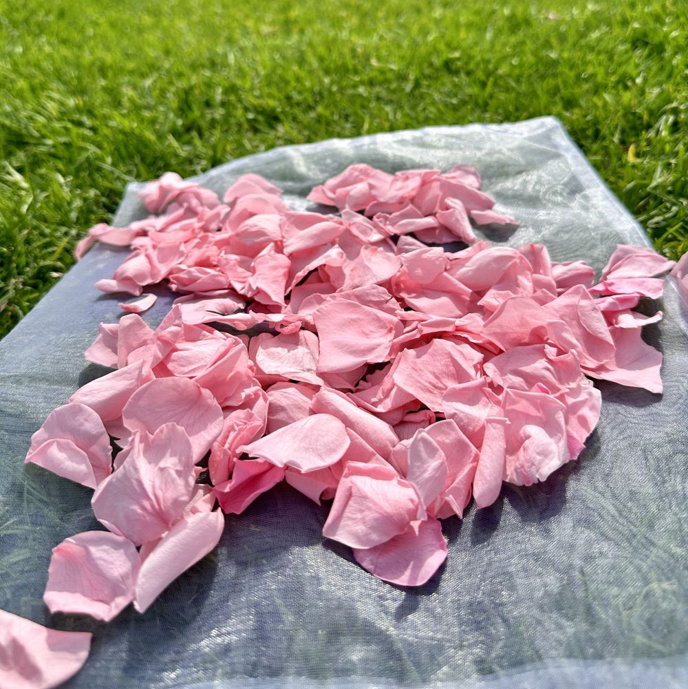 Cherry blossom Pink - Freeze Dried Soft Rose Petal Confetti