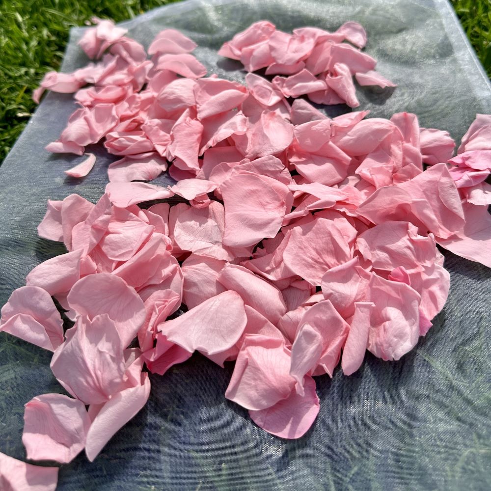 Cherry blossom Pink - Freeze Dried Soft Rose Petal Confetti