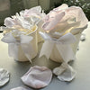 Large Pale Pink and White Marshmallow - Freeze Dried Preserved Rose Petal Confetti