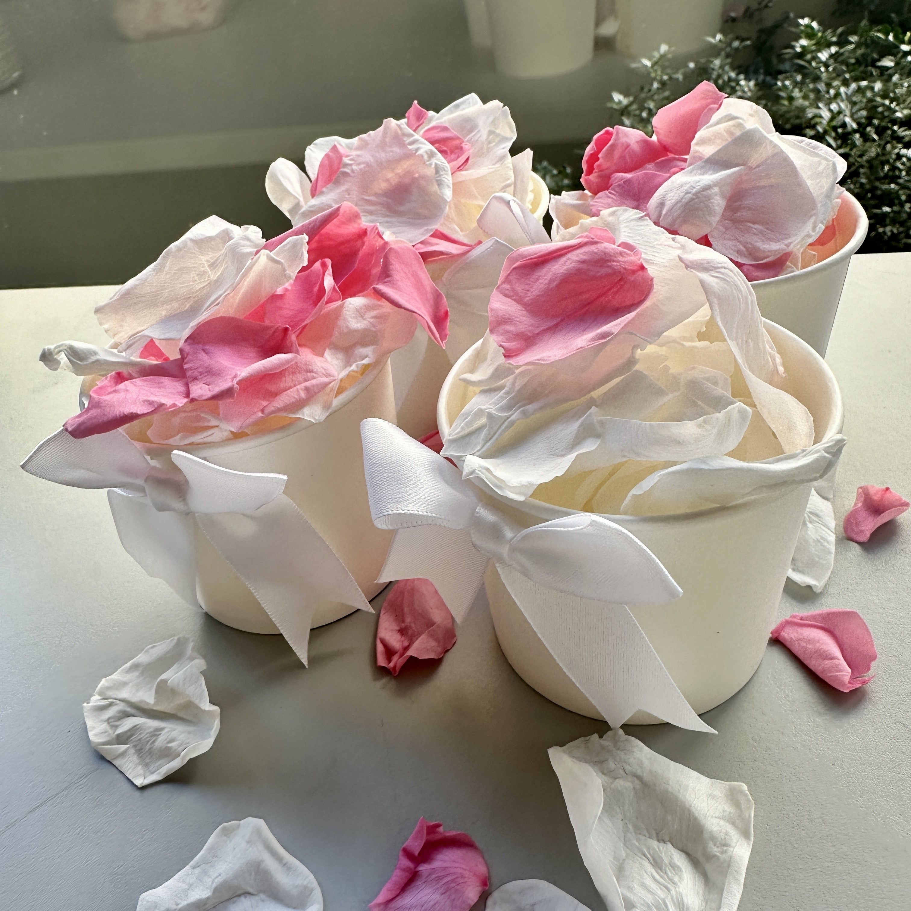 30 Individually Pre-Packaged Tubs Biodegradable Rose Petal Confetti - Coconut Ice Pink