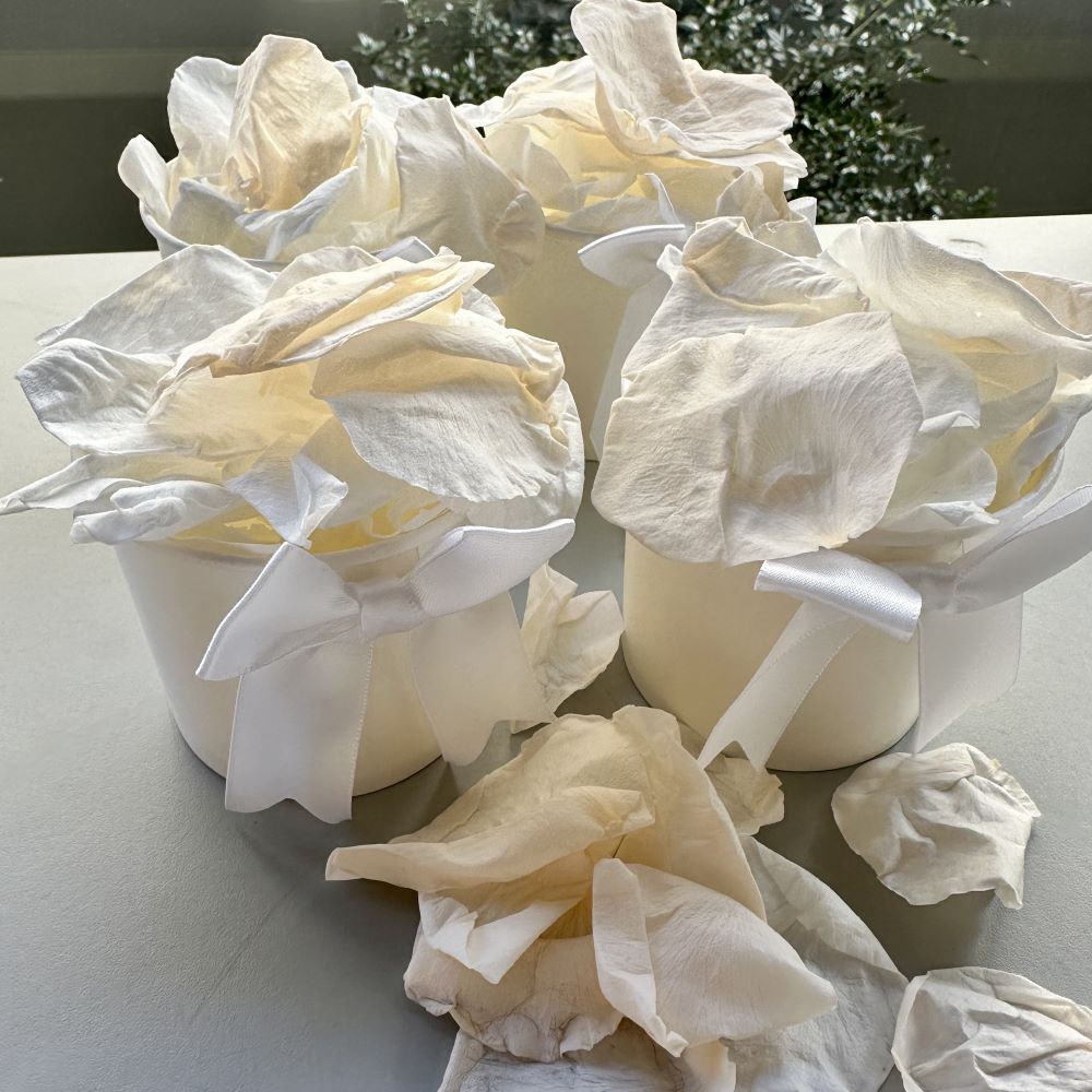 Peaches and Cream - Freeze Dried Soft Rose Petal Confetti