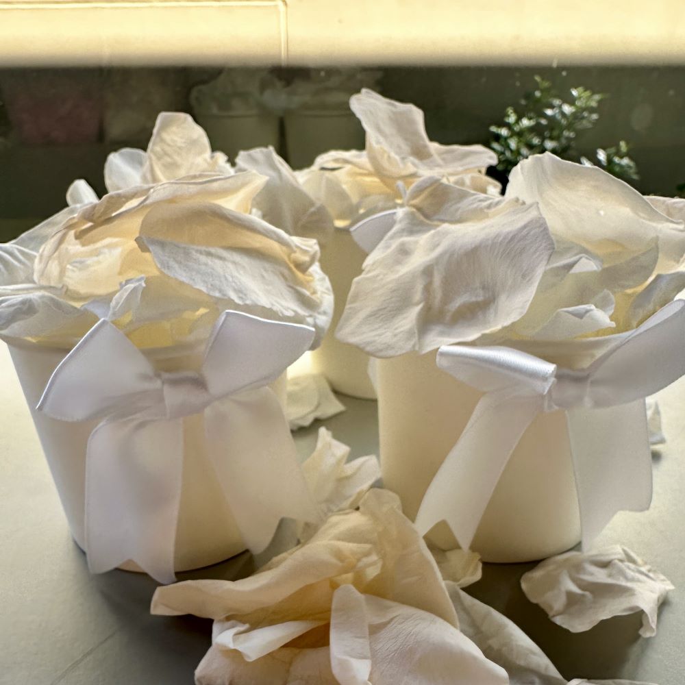 Peaches and Cream - Freeze Dried Soft Rose Petal Confetti