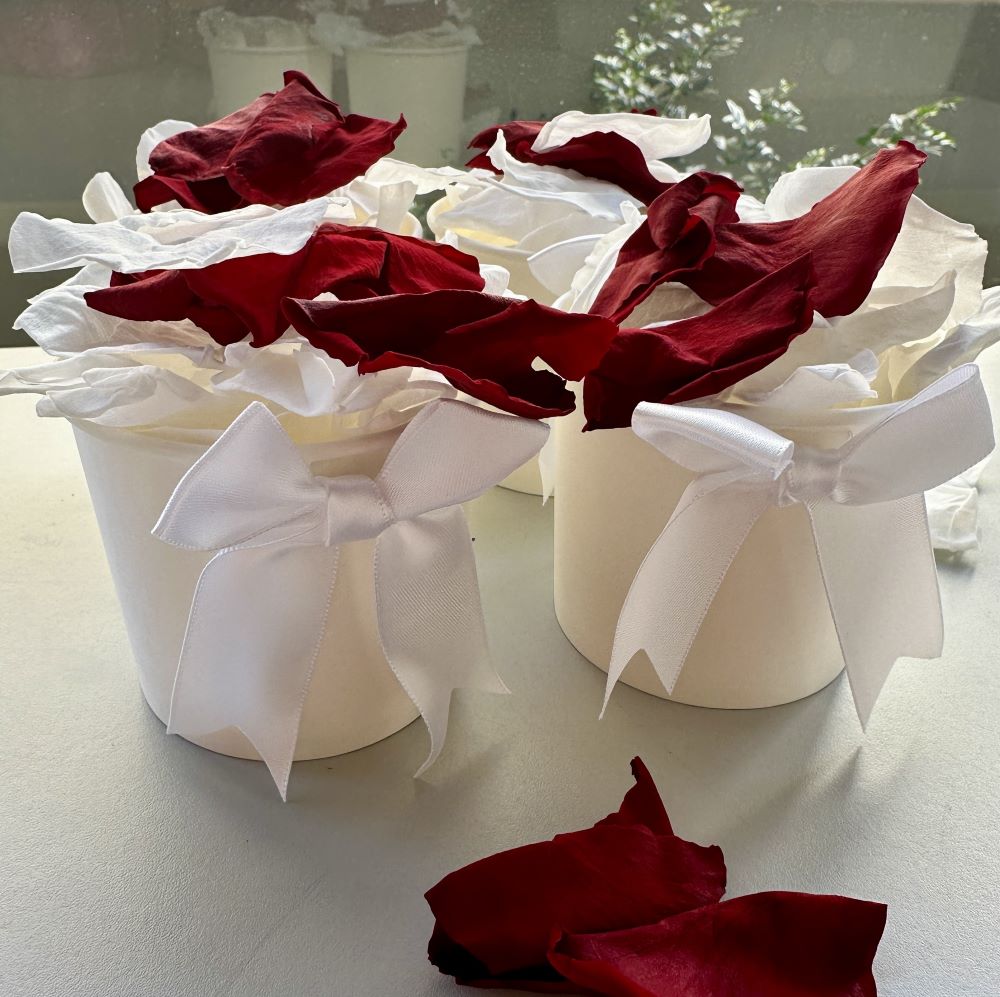 Red and White Strawberries and Cream - Freeze Dried Soft Rose Petal Confetti