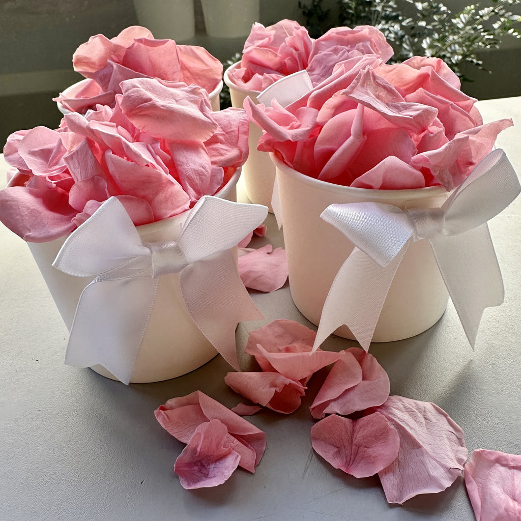 30 Individually Pre-Packaged Tubs Biodegradable Petal Confetti -Cherry Blossom Pink