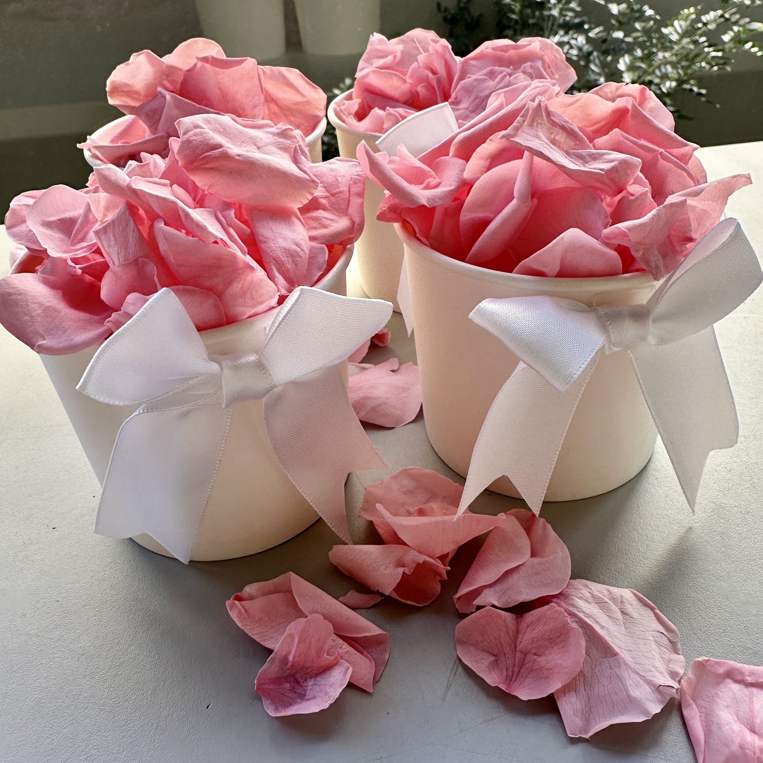 30 Individually Pre-Packaged Tubs Biodegradable Petal Confetti -Cherry Blossom Pink