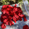 Ruby Red - Freeze Dried and Preserved Rose Petal Confetti