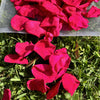 Passion Pop Pink- Freeze Dried and Preserved Rose Petal Confetti