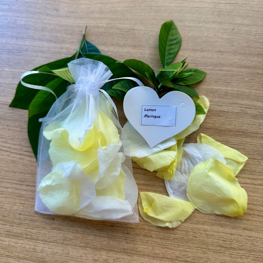 Lemon Meringue - Freeze Dried Soft Preserved Rose Petal Confetti