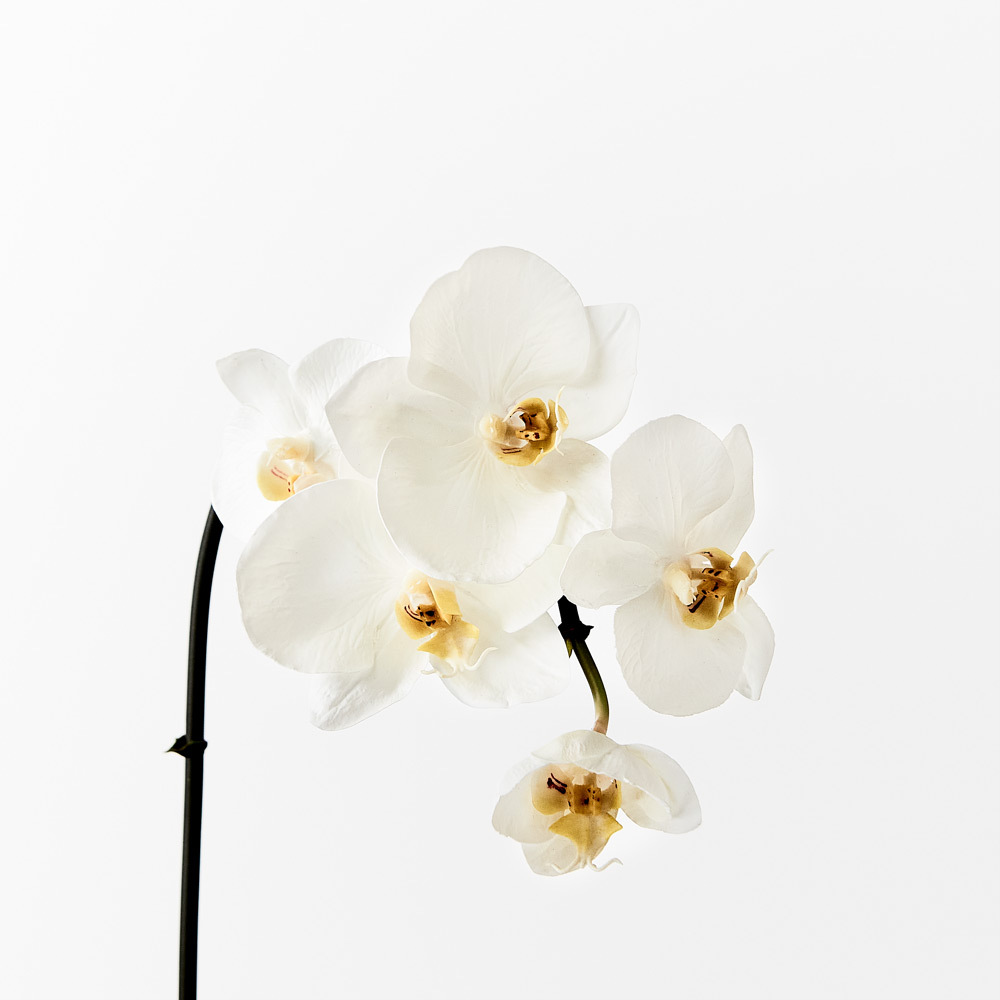 Artificial Flower Pew Ends / Aisle Chair Decorations Long Soft White Chiffon Ribbon and White Orchid To Own