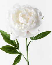 Artificial Flower Pew Ends / Aisle Chair Decorations Long White Satin Ribbon and White Peony To Hire