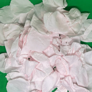 Soft Pink Freeze Dried and Preserved Rose Petal Confetti on green background