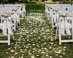 Preserved Natural Flower Pew Ends / Aisle Chair Decorations White Chiffon Ribbon and Pink Rose