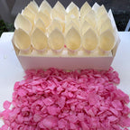 30 Guest Fleuerfect Value Bundle- Pink Freeze Dried Rose Petal Confetti (Petals+Cones+Tray)