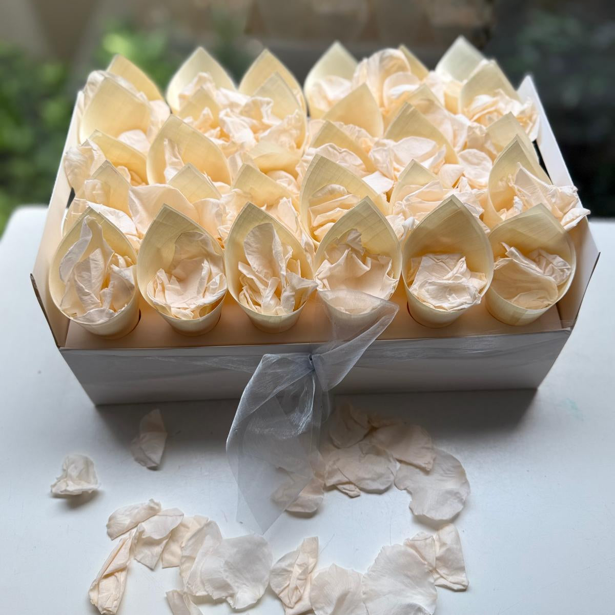 White Wedding Confetti holder tray holds up to 30 cones