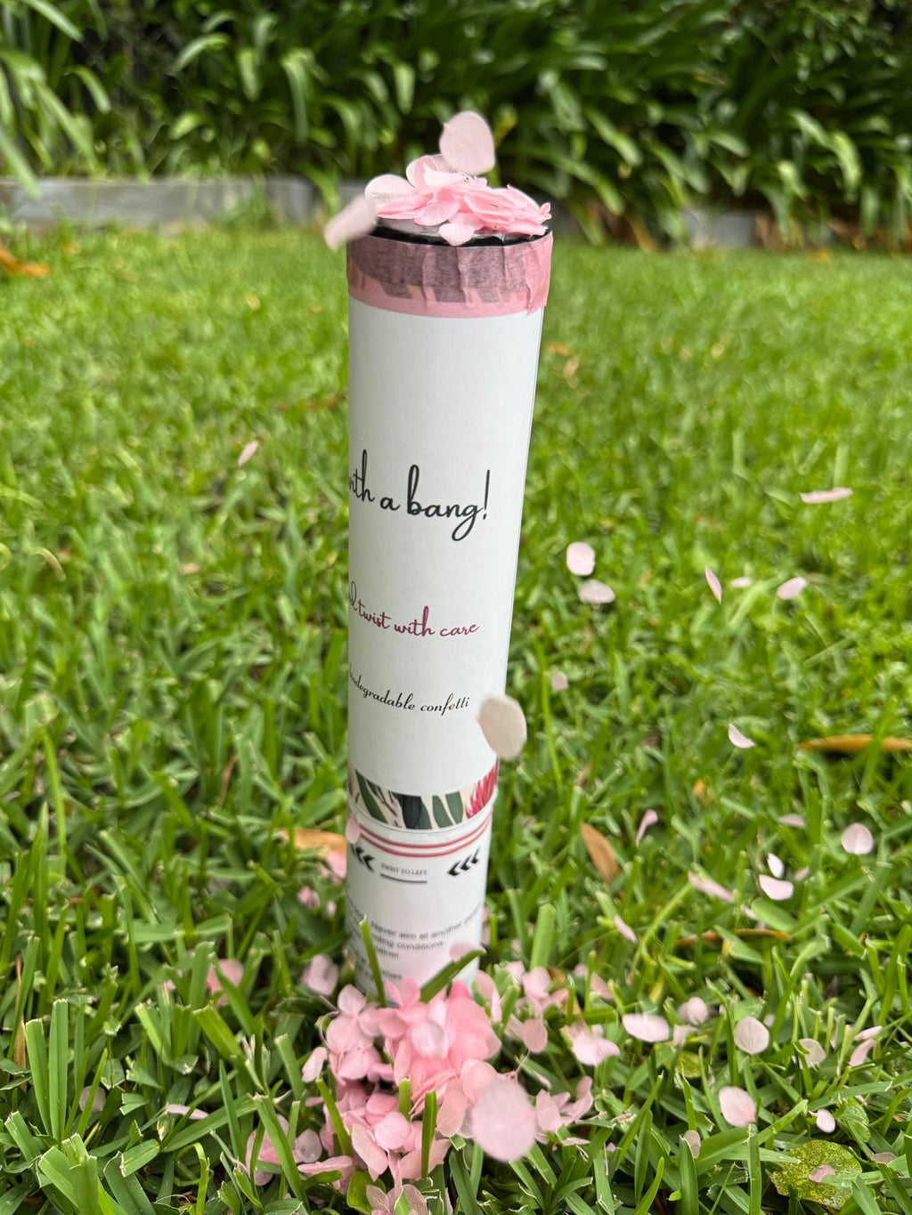 Gender Reveal Pink It's a Girl Natural Hydrangea Petals Confetti Cannon