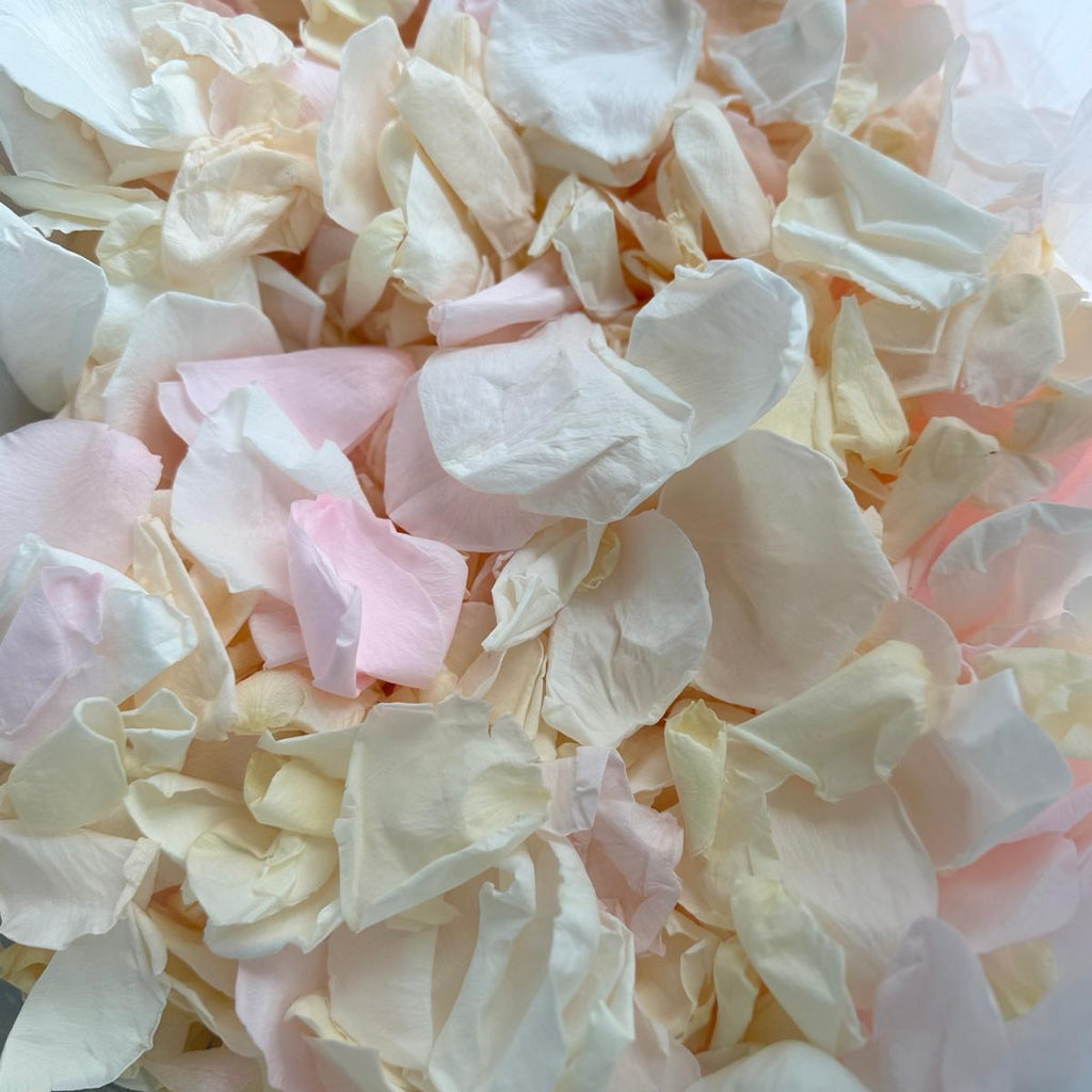 Pastel Perfection - Soft Freeze Dried Rose Petal Confetti