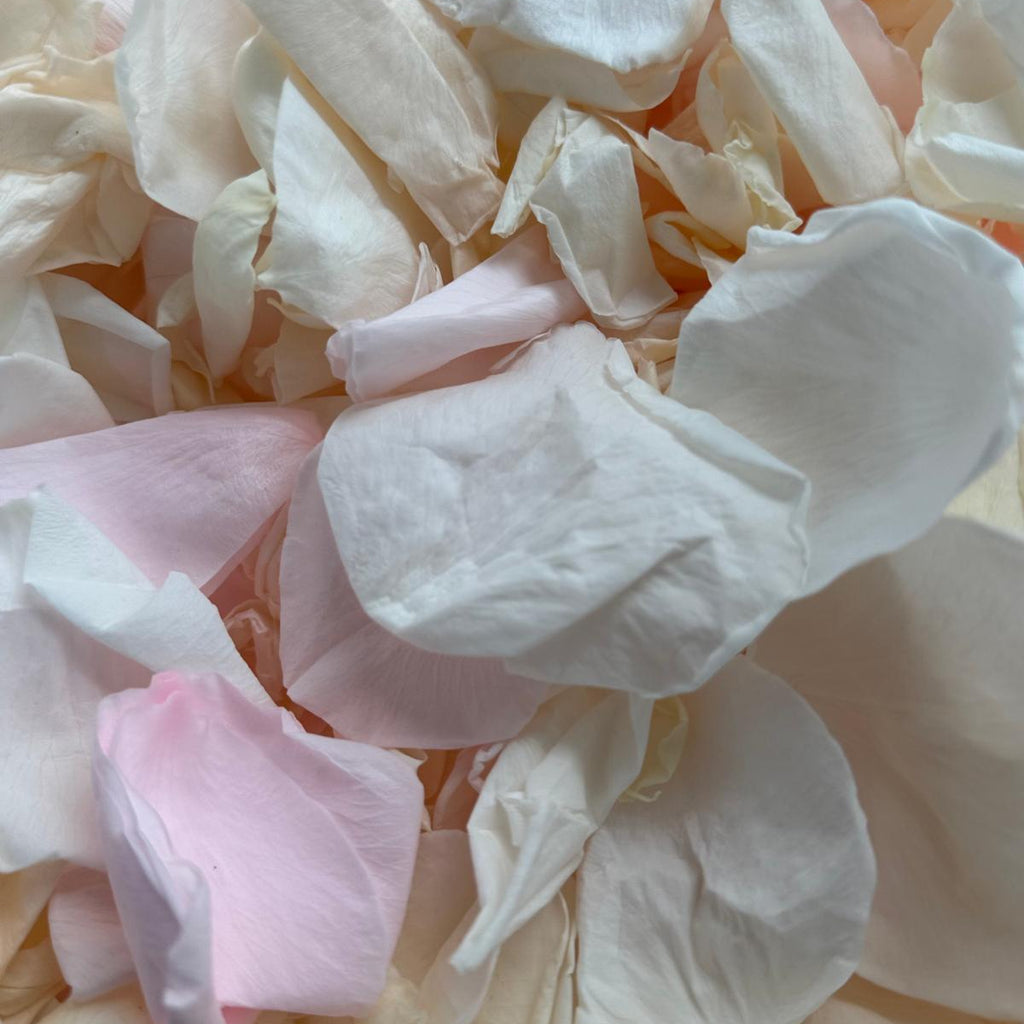 Pastel Perfection - Soft Freeze Dried Rose Petal Confetti
