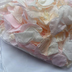 Pastel Perfection - Soft Freeze Dried Rose Petal Confetti