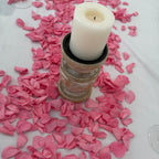 Vibrant Pink Freeze Dried Rose Petal Table Decoration Sprinkle Kit for Birthdays, Anniveraries