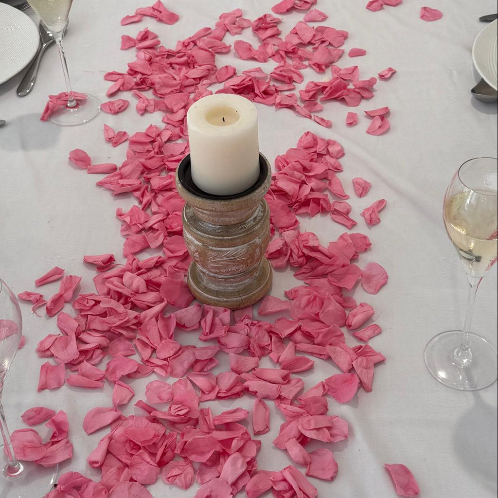 Vibrant Pink Freeze Dried Rose Petal Table Decoration Sprinkle Kit for Birthdays, Anniveraries