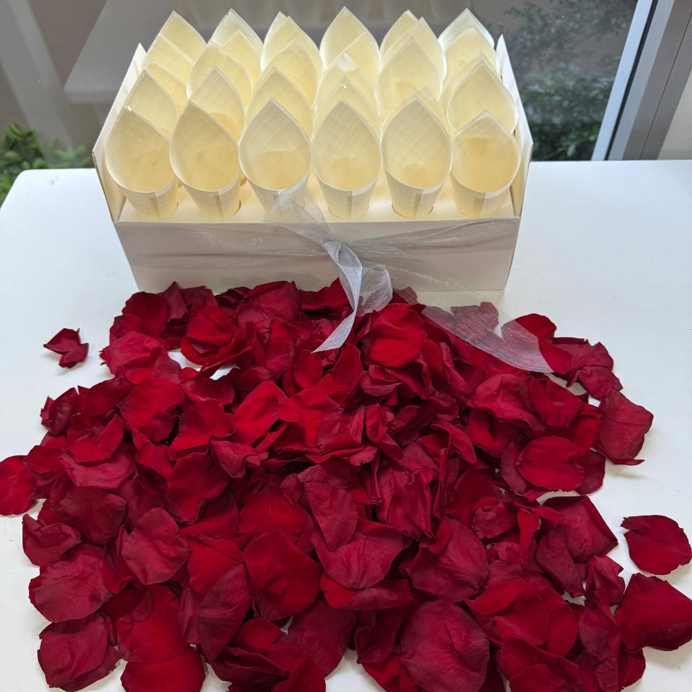 30 Guest Value Bundle -Red Preserved Soft Freeze Dried Rose Petal Confetti (petals +cones+tray)