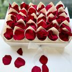 30 Guest Value Bundle -Red Preserved Soft Freeze Dried Rose Petal Confetti (petals +cones+tray)