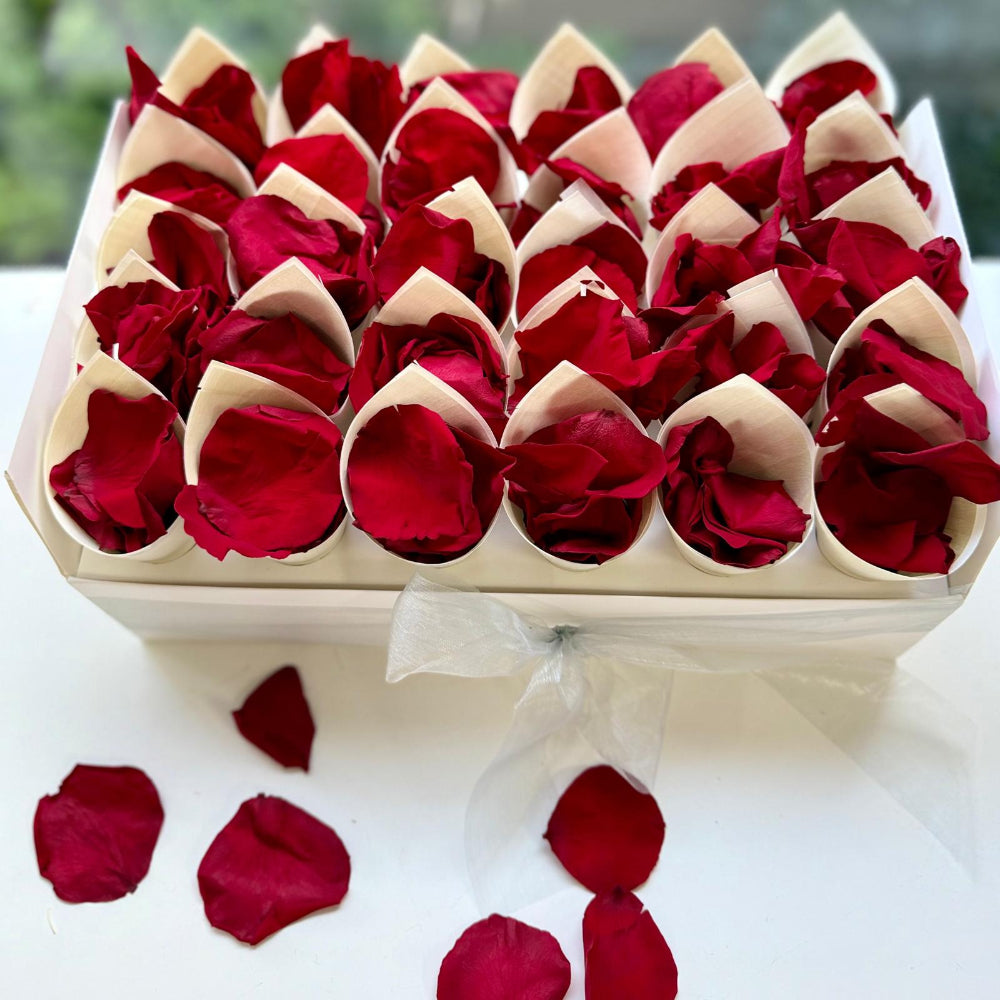 30 Guest Value Bundle -Red Preserved Soft Freeze Dried Rose Petal Confetti (petals +cones+tray)
