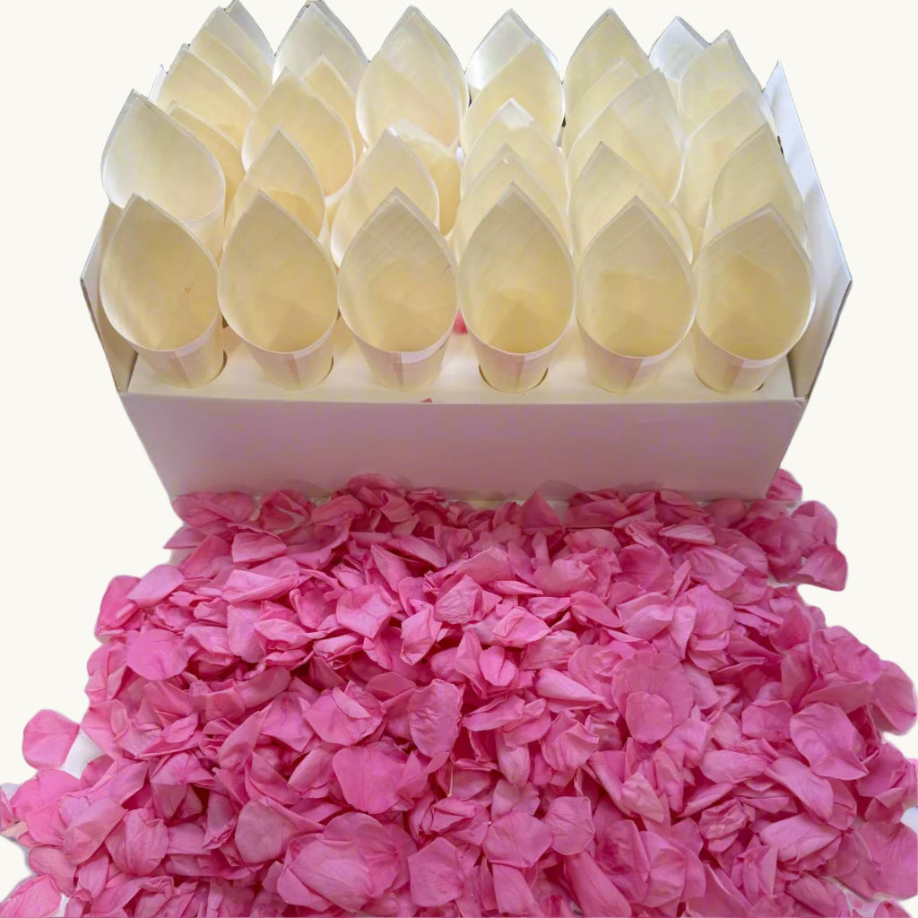 30 Guest Fleuerfect Value Bundle- Pink Freeze Dried Rose Petal Confetti (Petals+Cones+Tray)