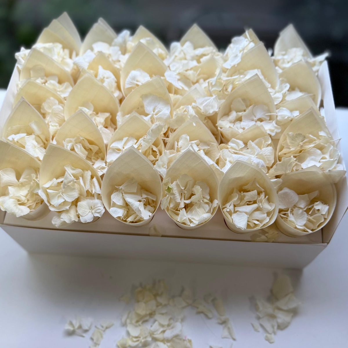 30 Guest Fleurfect Value Bundle- Antique White Hydrangea Freeze Dried Confetti (Petals+Cones+Tray)
