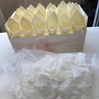 30 Guest Value Bundle -White Preserved Freeze Dried Rose Petal Confetti (petals +cones+tray)