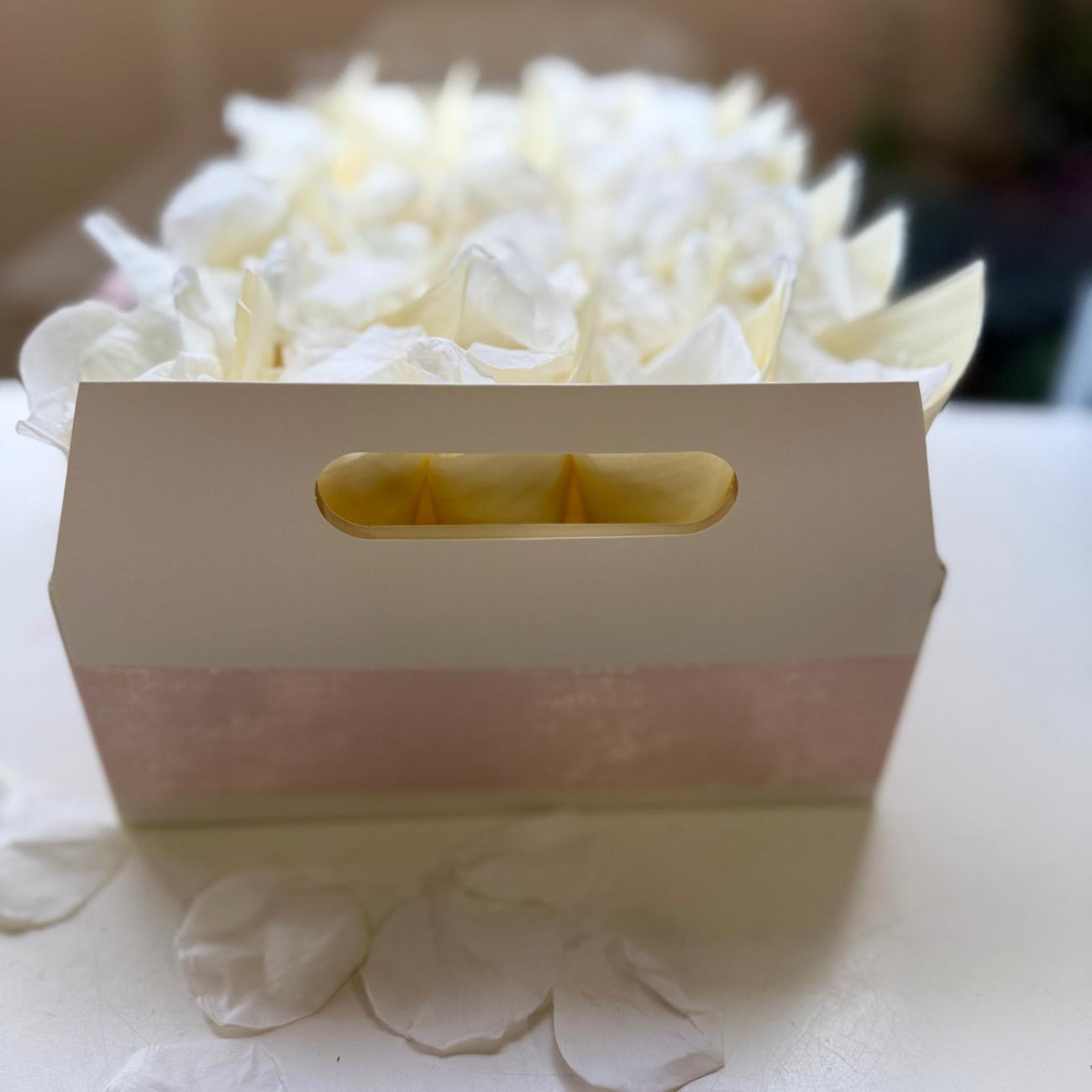 30 Guest Value Bundle -White Soft Freeze Dried Rose Petal Confetti (petals +cones+tray)