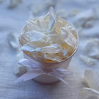 Antique White - Soft Freeze Dried Rose Petal Confetti