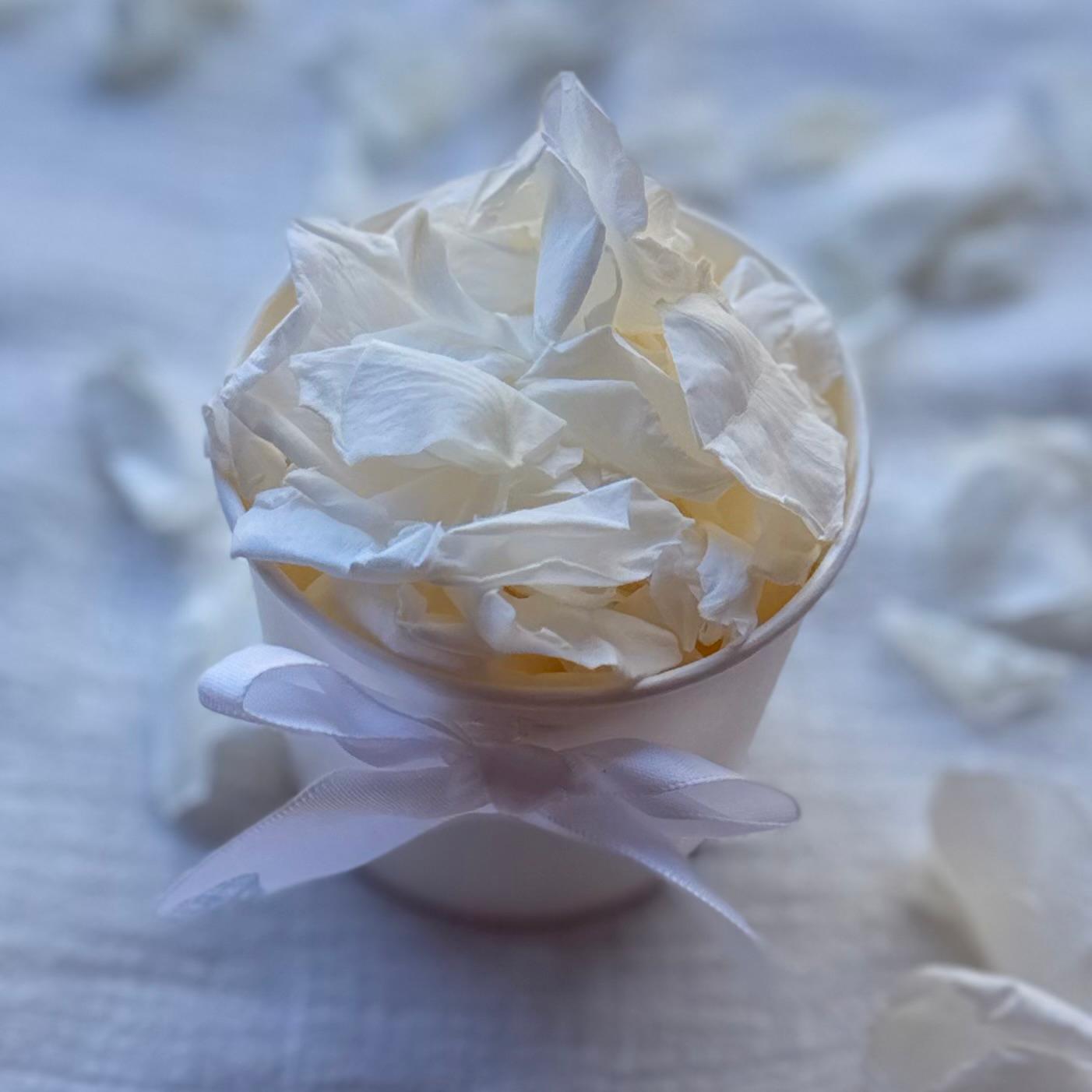 Antique White - Soft Freeze Dried Rose Petal Confetti