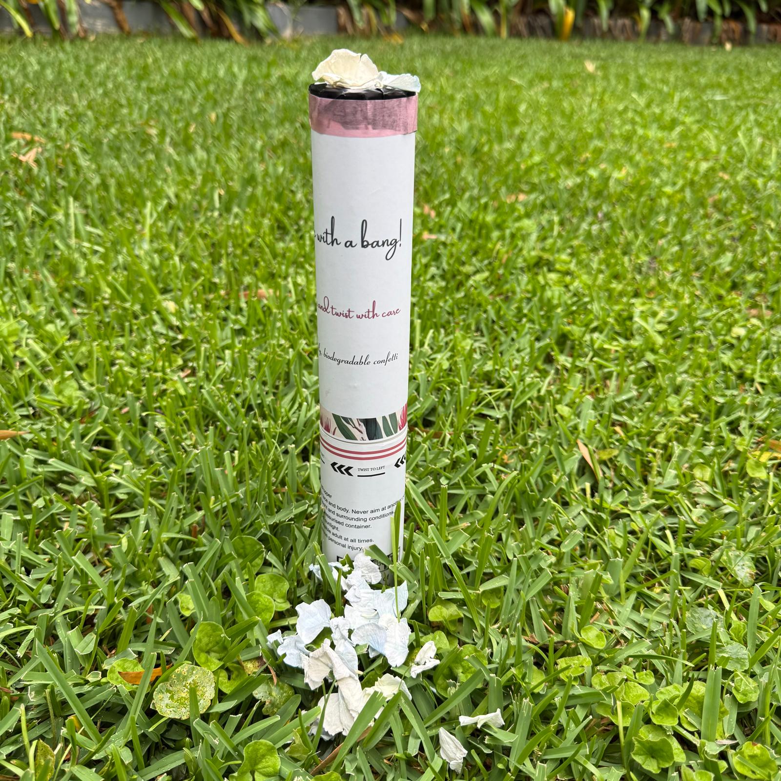 Gender Reveal Blue "It's a Boy" Natural Hydrangea Petals Confetti Cannon