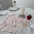 Happy Birthday Table Decoration Light Pink Freeze Dried Rose Petal Sprinkle Kit
