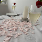 Happy Birthday Table Decoration Light Pink Freeze Dried Rose Petal Sprinkle Kit