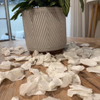 Snow White Freeze Dried Petal Table Decoration 3 x Beige Spotty bags for Weddings, New Baby, Baptisms, Christenings, Communions B&W