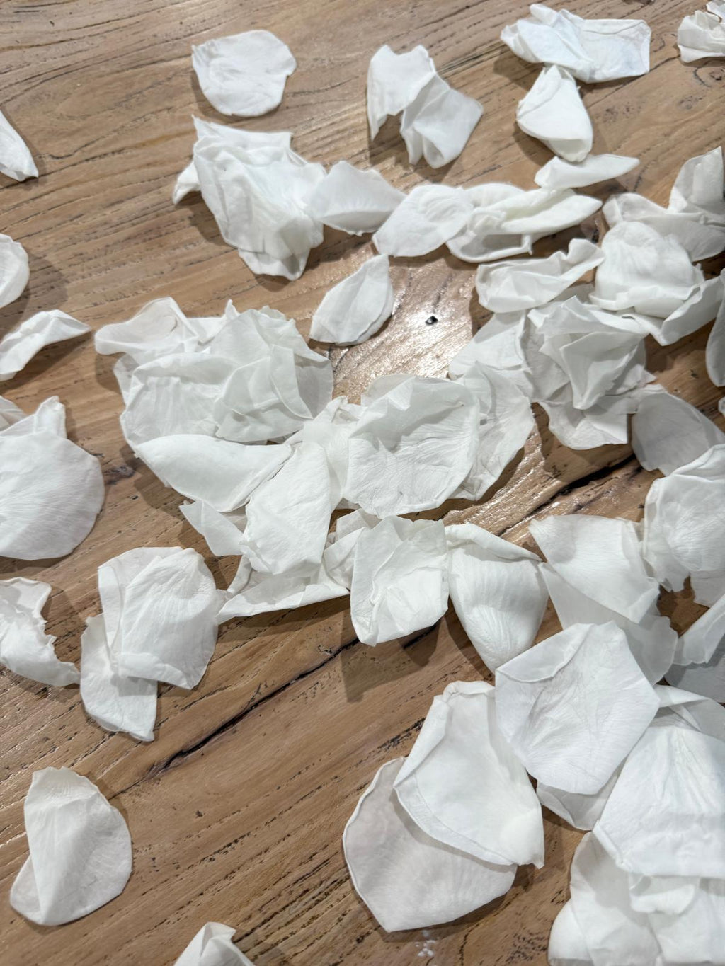 Snow White Freeze Dried Petal Table Decoration 3 x Beige Spotty bags for Weddings, New Baby, Baptisms, Christenings, Communions B&W