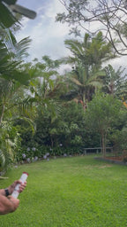 Red Hydrangea I love you Cannon Collection