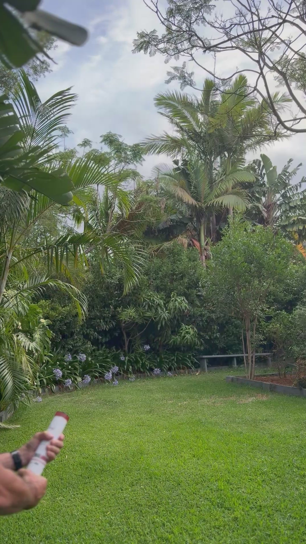 Red Hydrangea I love you Cannon Collection