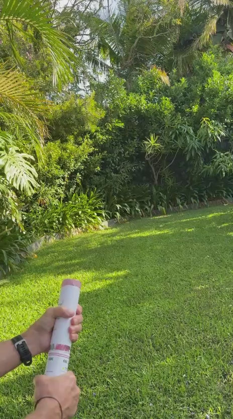 Gender Reveal Blue "It's a Boy" Natural Hydrangea Petals Confetti Cannon