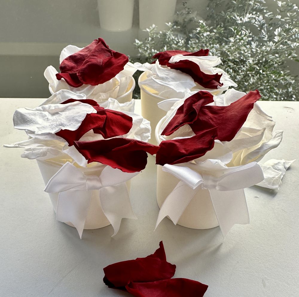 Red and White Strawberries and Cream - Freeze Dried Soft Rose Petal Confetti